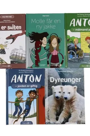 Bestseller Straarup & Co Boekenpakket - 2e leerjaar - Assorti. - 5 Boeken