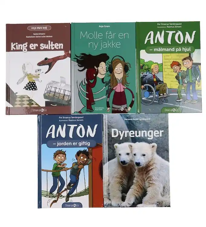 Bestseller Straarup & Co Boekenpakket - 2e leerjaar - Assorti. - 5 Boeken