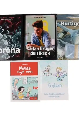 Koop Vandaag Straarup & Co Boekenpakket - 4e leerjaar - Assorti. - 5 Boeken