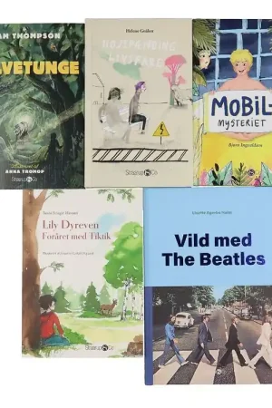 Straarup & Co Boekenpakket - 5e leerjaar - Assorti. - 5 Boeken Superprijs
