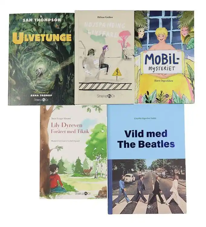 Straarup & Co Boekenpakket - 5e leerjaar - Assorti. - 5 Boeken Superprijs