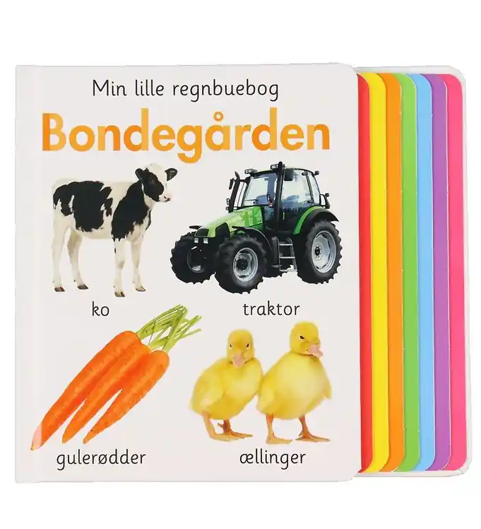 Alvilda Boek - Mijn Klein Regenboog Boek - De Boerderij Lage Prijs