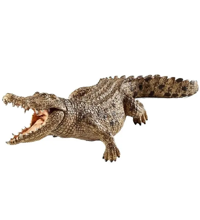 Schleich Wild Life - l: 18 cm - Krokodil 14736 Bestseller