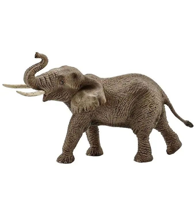 Schleich Wild Life - H: 12 cm - Afrikaanse olifant 14762 Aanbieding