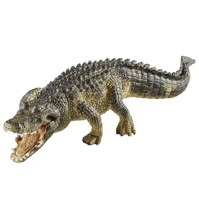 Favoriet Schleich Wild Life - L: 19 cm - Alligator 14727
