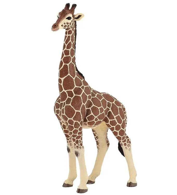 Voordeelprijs Papo Giraf - Heren - H: 20 cm