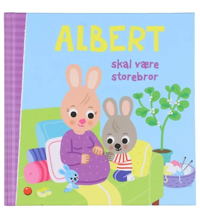 Forlaget Bolden Boek - Albert Zou Big Brother moeten zijn - Deen Lage Kosten