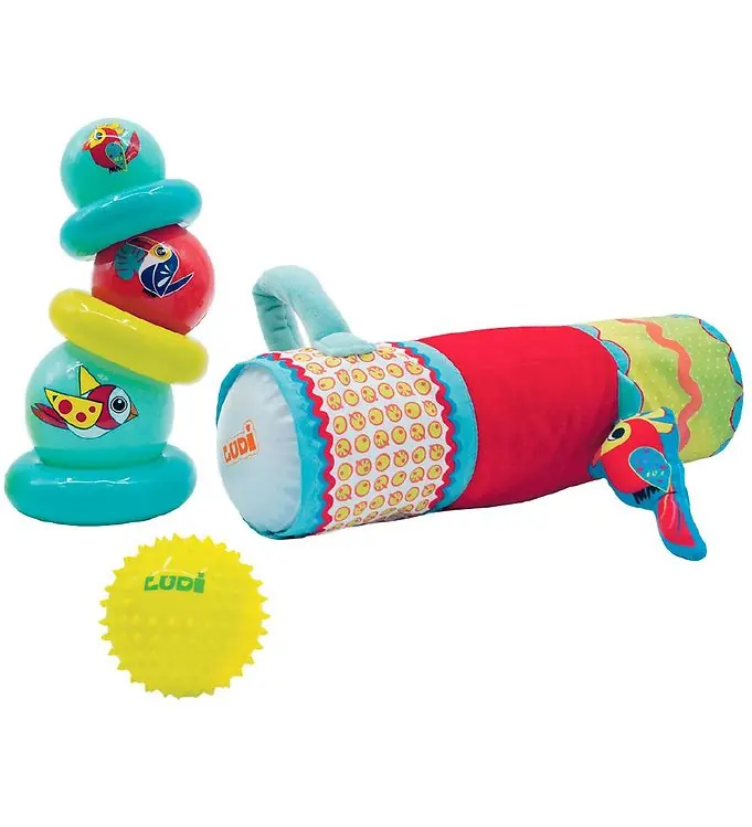 Ludi Speelset m. Ballen/Ringen - Multi Veilige Betaling