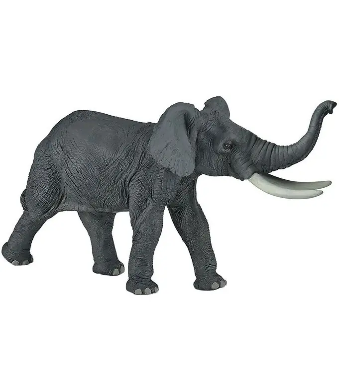 Papo Afrikaans Olifant - H: 19 cm Direct Verzonden