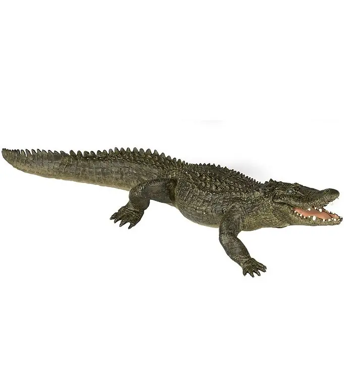 Papo Alligator - l: 19 cm Betaalbaar