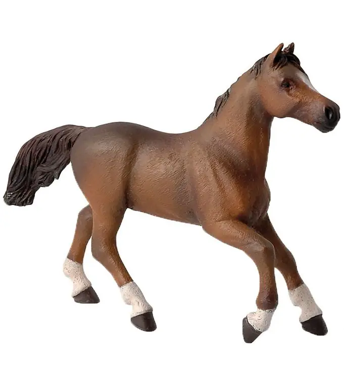 Nu Kopen Papo Anglo-Arabieren Paard - l: 16 cm