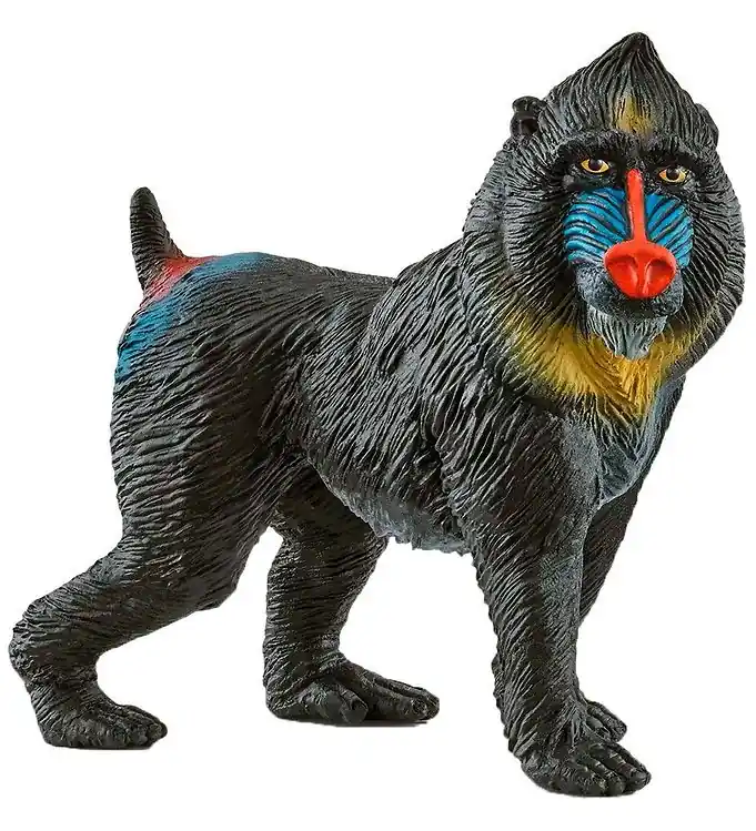 Schleich Wild Life - Mandril - H: 6,1 cm 14856 Superprijs