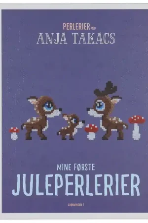 Koopje Anja Takacs Boek - Mijn eerste kerstkralen - Deens