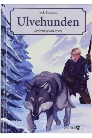 Seizoensaanbieding Straarup & Co Boek - Makkelijk te lezen klassiekers - De Wolfsho