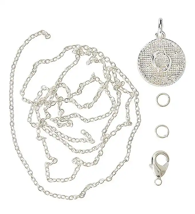 Favoriet Me&My BOX Ketting m. Dierenriem - Vis - Verzilverd