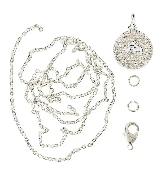 Me&My BOX Ketting m. Dierenriem - TYR - Verzilverd Hoge Kwaliteit