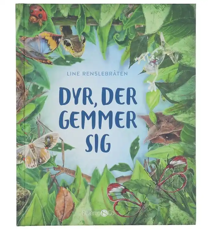 Premium Straarup & Co Boek - Dieren die zich verstoppen