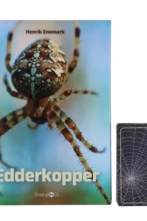 Straarup & Co Sampak - Spel & Lezen - Spinnen Direct Verzonden