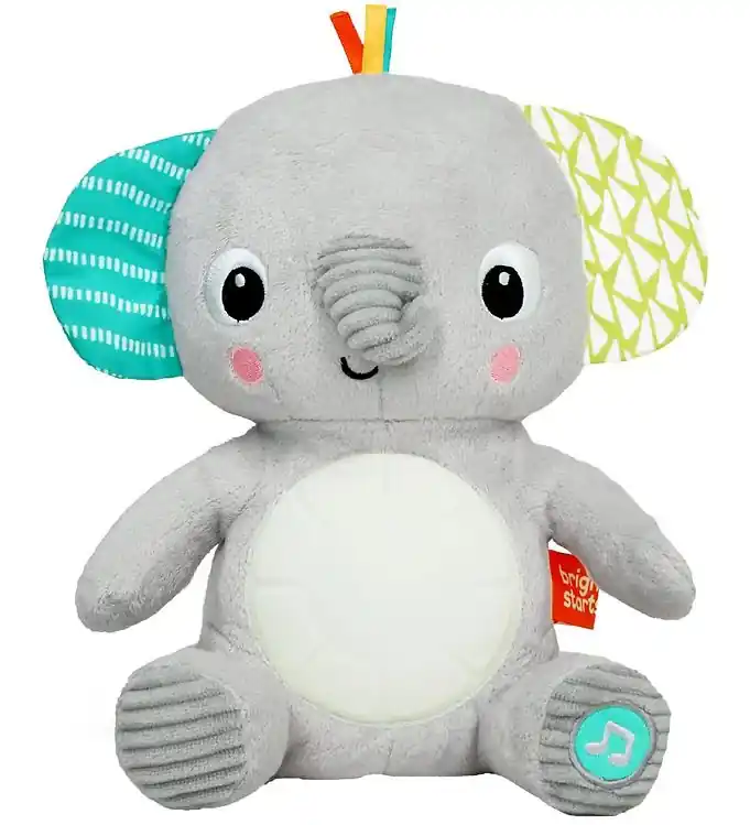 Bright Starts Muzikaal Knuffel - 21 cm - Knuffel-A-Bye Baby - Ol Voordeelprijs