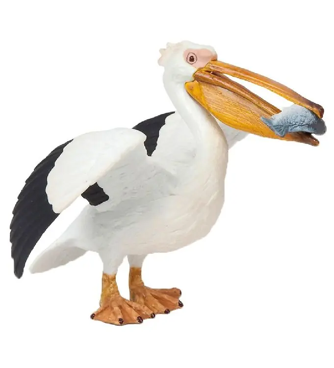 Papo Pelikaan - H: 10 cm Favoriet