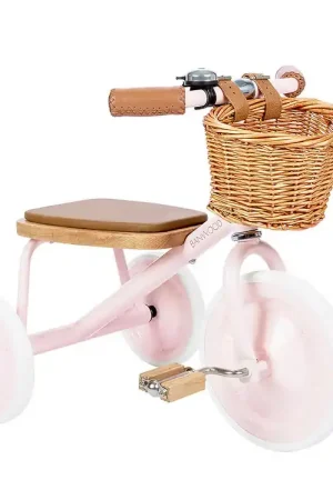 Nieuw Banwood Driewieler - Roze
