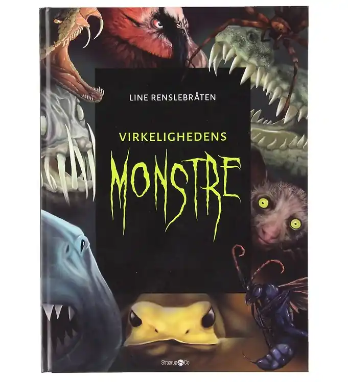 Alleen Vandaag Straarup & Co - Monsters of Reality m. Monsterkaarten - Deens
