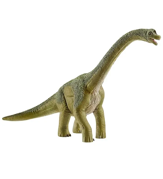 Snelle Levering Schleich Dinosaurs - Brachiosaurus - H: 18.5 14581