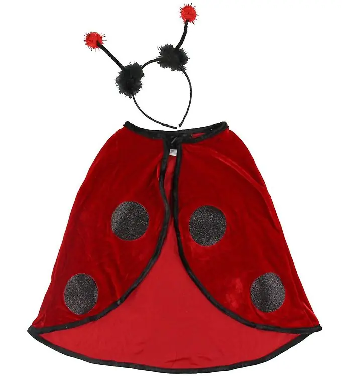 Great Pretenders Kostuum - Lieveheersbeestje - Rood Lage Kosten