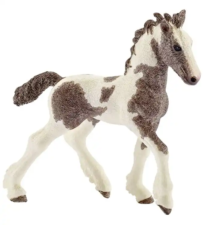 Schleich Dier - 9,5 x 9 cm - Tinker Føl 13774 Beste Prijs
