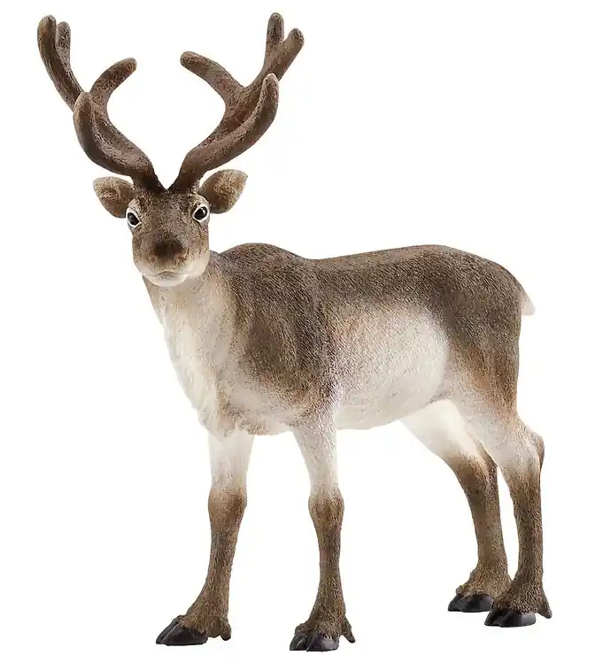 Dagaanbieding Schleich Dier - L:13 cm - Rendier 14837