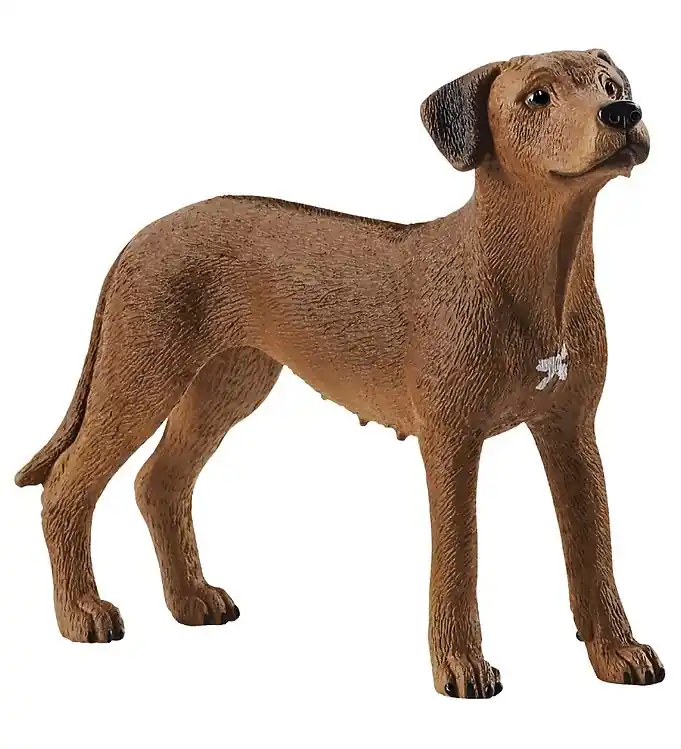 Schleich Dier - H: 6 cm - Rhodesian Ridgeback 13895 Actieprijs