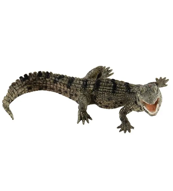 Hoge Kwaliteit Papo Baby Krokodil - l: 11 cm