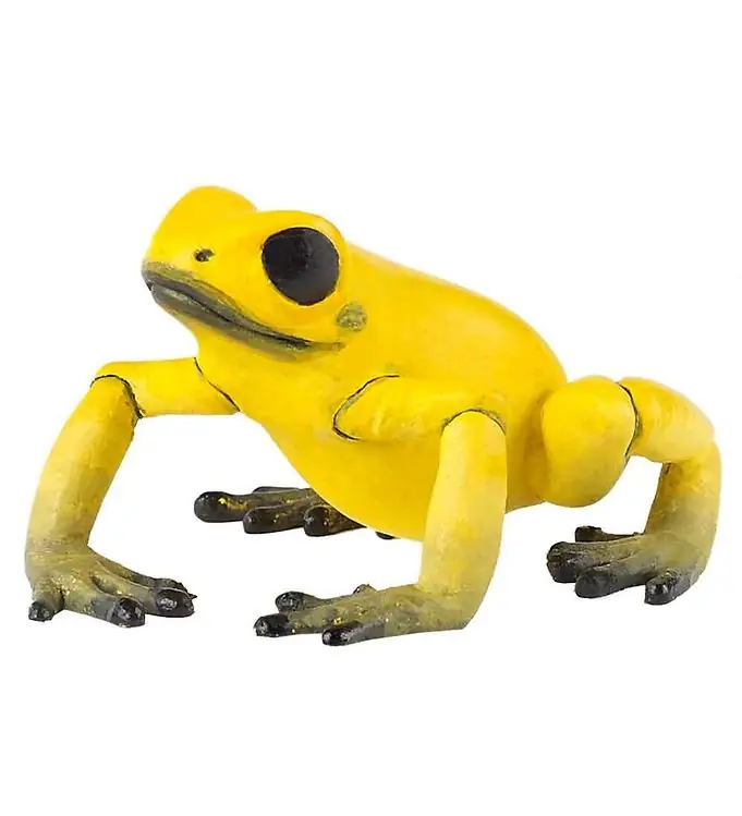 Papo Geel Zaad - l: 5 cm Op = Op
