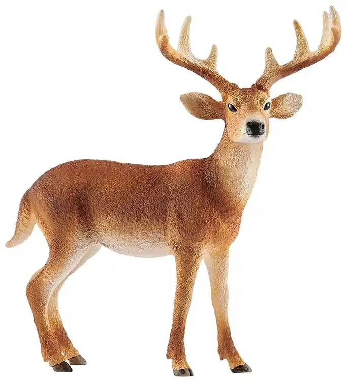 Veilige Betaling Schleich Dier - Virginia hertenbok - H: 11 cm 14818