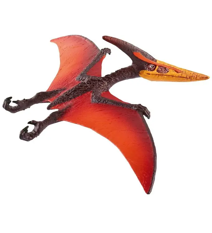Schleich Dinosaurs - Pteranodon - l: 16 cm 15008 Nu Kopen
