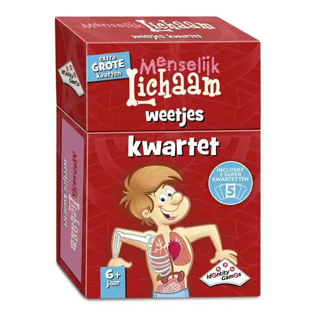 Menselijk Lichaam Kwartet Direct Beschikbaar