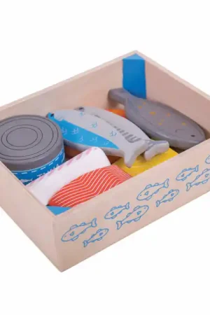 Aanbieding Bigjigs Houten Kistje met Vis