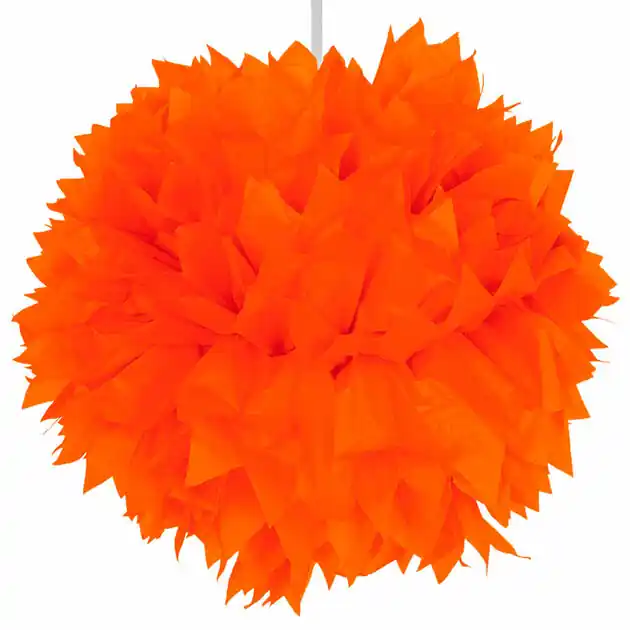 Oranje Pompom Alleen Vandaag