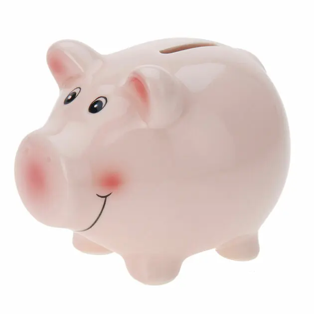 Spaarvarken Roze Hete Deal