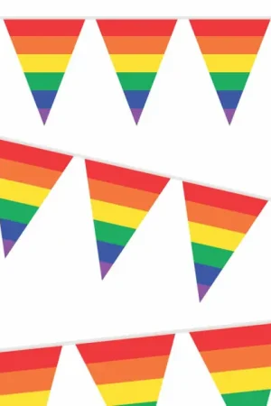 Beperkte Voorraad Vlaggenlijn Regenboog, 10mtr.