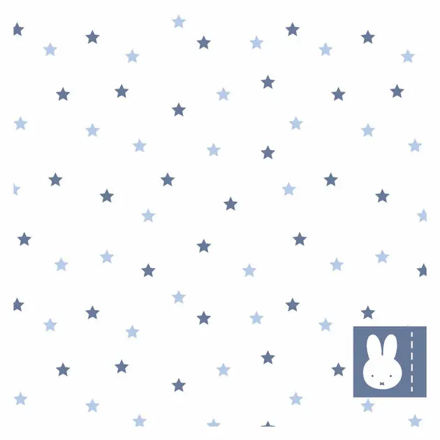 Dagaanbieding Servetten Nijntje Blauw, 20st.