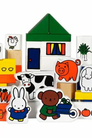 Nijntje Blokken Boerderij Direct Beschikbaar