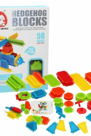 Alleen Vandaag Bristle Blokken, 58dlg.