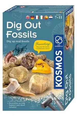 Tijdelijk Beschikbaar Kosmos Fossielen Uithakken