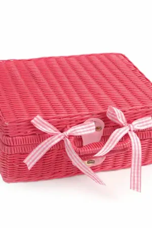 Tidlo Picnickset in Roze Koffer Laatste Versie