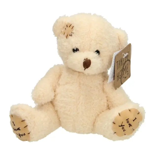 Take Me Home Knuffelbeer Wit Hete Deal