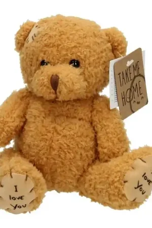 Aanbieding Take Me Home Knuffelbeer Donkerbruin