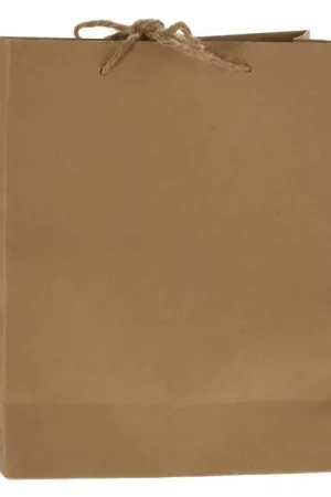 Direct Verzonden Geschenktas Kraftpapier Klein