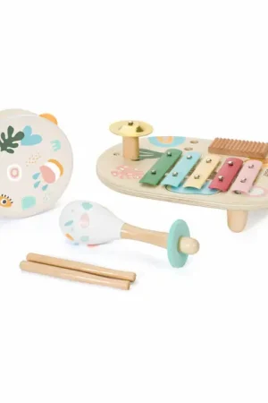 Lage Prijs Classic World Houten Muziekinstrumenten Set Iris