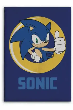 Lage Prijs Fleece Deken Sonic, 100x140cm
